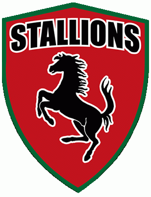 Kanata Stallions 2006-Pres Primary logo iron on heat transfer